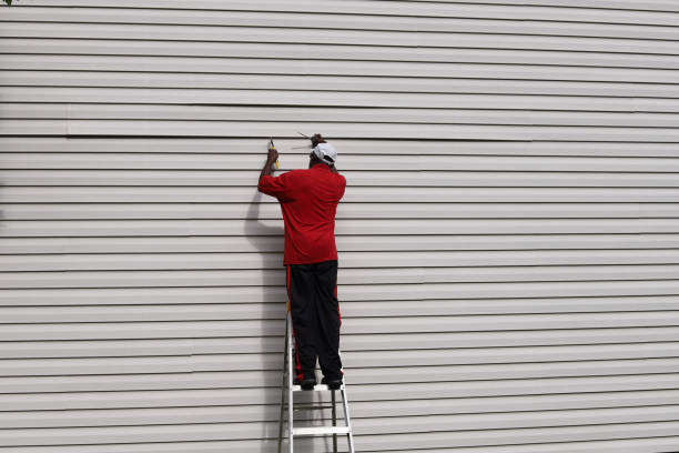 Affordable Siding Repair and Maintenance Services in Anaheim, CA