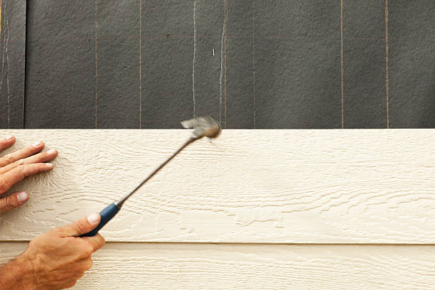 Best Brick Veneer Siding  in Anaheim, CA